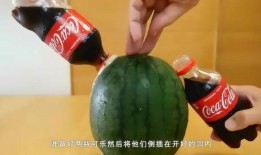 吃瓜群众外国人素材视频,外国“吃瓜群众”视角下的中国现象解析