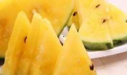 巧妇瓜怎么吃才好吃视频,解锁瓜类佳肴新吃法