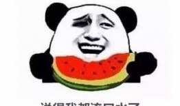 瓜娃子吃西瓜视频直播,趣味横生引网友热议