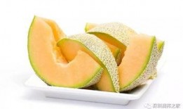 小仓仓吃哈密瓜的视频,萌态十足引网友热议