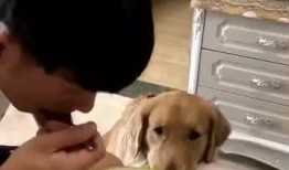 网友吃瓜吃出境界视频是真的吗,真相还是炒作？