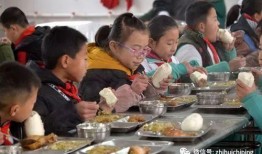 新里镇中心小学吃瓜视频,校园欢乐瞬间