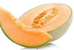 鸟会吃哈密瓜吗视频,揭秘鸟类对哈密瓜的喜爱之谜