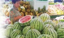 临沂吃瓜视频完整,揭秘当地特色美食与民间风情