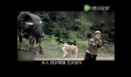 吃瓜搞笑内涵段子大全视频,搞笑内涵段子视频集锦