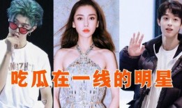 粉丝互打明星吃瓜视频,粉丝吃瓜狂欢，揭秘娱乐圈幕后恩怨
