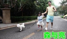 遛狗吃瓜现场视频,欢乐现场一幕