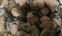 猫屎瓜好吃吗怎么吃的视频,视频揭秘美味吃法