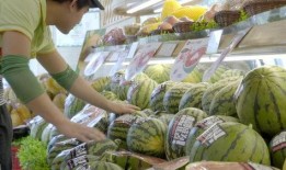 缅甸北部吃瓜视频,吃瓜群众视角下的社会百态