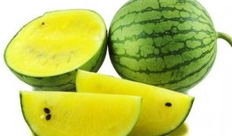 日本人吃黄心瓜视频大全,黄心瓜的独特风味之旅