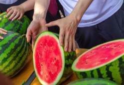 大学校园吃瓜视频大全