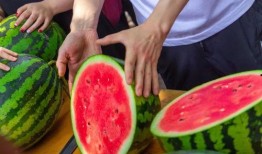 大学校园吃瓜视频大全