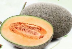 我们吃哈密瓜视频大全下载,视频大全下载攻略