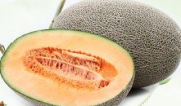 我们吃哈密瓜视频大全下载,视频大全下载攻略