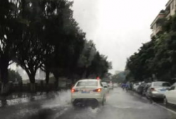 东莞暴雨吃瓜视频最新,吃瓜群众捕捉惊险瞬间