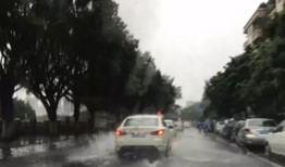 东莞暴雨吃瓜视频最新,吃瓜群众捕捉惊险瞬间