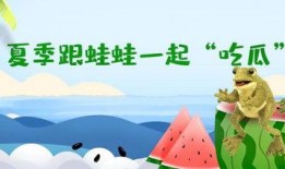 呱呱吃瓜故事表演视频,一场欢乐的表演盛宴