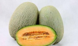 泰国大叔吃哈密瓜视频,一场味蕾与视觉的双重享受