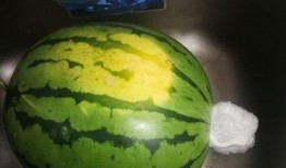 吃秋瓜会中毒吗视频,秋季吃瓜需谨慎