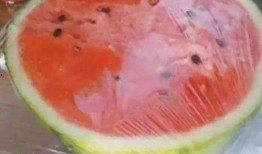 吃瓜吃出细菌视频大全播放,细菌视频大全播放警示录