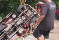 隔壁吃瓜群众视频,一场引人入胜的邻里风云