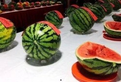 西瓜吃瓜视频大赛,西瓜吃瓜视频大赛精彩瞬间大盘点