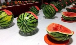 西瓜吃瓜视频大赛,西瓜吃瓜视频大赛精彩瞬间大盘点