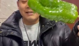 吃瓜白虎粉色薯条网红视频,趣味横生引网友热议