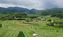 武平吃瓜群众视频,揭秘当地生活百态