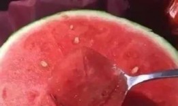 谢谢你来了吃瓜视频,揭秘吃瓜视频背后的趣味与真相