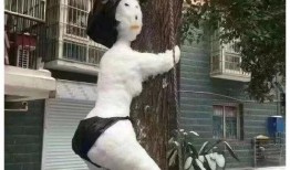 两个主持人吃瓜视频大全,揭秘娱乐圈幕后故事