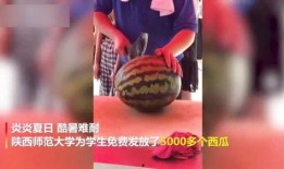 大学生教师吃瓜视频大全,揭秘校园生活趣味瞬间