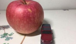 红苹果吃瓜的视频,揭秘娱乐圈幕后故事