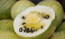 籽瓜熟吃做法大全视频教程,视频教程教你轻松掌握多种美味做法