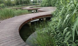 北龙湖公园吃瓜视频播放,网友热议公园生活瞬间