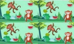 猴王吃瓜故事试听视频,一场奇幻瓜果盛宴
