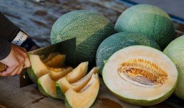 韩国人吃蜜瓜冰糖水视频,夏日消暑新宠