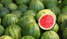 用勺吃瓜视频,揭秘用勺吃瓜的独特魅力