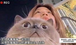 猫和主人一起吃瓜原视频奥特曼,奥特曼惊喜现身！
