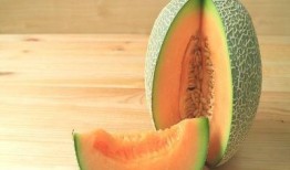 鸟会吃哈密瓜吗视频,揭秘鸟类对哈密瓜的喜爱之谜