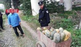 抚州临川吃瓜事件视频曝光,视频曝光引发社会关注