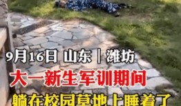 吃别人的大瓜好吗视频,跟随视频一探大瓜背后的真相