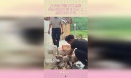 狗哥吃瓜事件视频大全,视频大全揭秘网络热点背后的真相