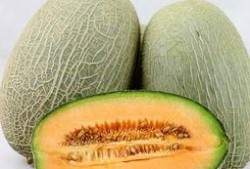 我喜欢吃哈密瓜歌曲视频,探寻“我喜欢吃哈密瓜”歌曲背后的故事