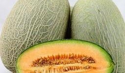 我喜欢吃哈密瓜歌曲视频,探寻“我喜欢吃哈密瓜”歌曲背后的故事