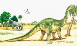 简单画吃瓜恐龙视频大全,恐龙与瓜果的欢乐碰撞