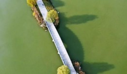 三门峡吃瓜视频,揭秘当地特色美食背后的故事