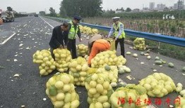 武平吃瓜群众视频,揭秘当地生活百态