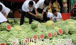 韩城4分58秒吃瓜视频,网友热议