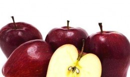 冬天吃籽瓜有意境的视频,暖意盈心间